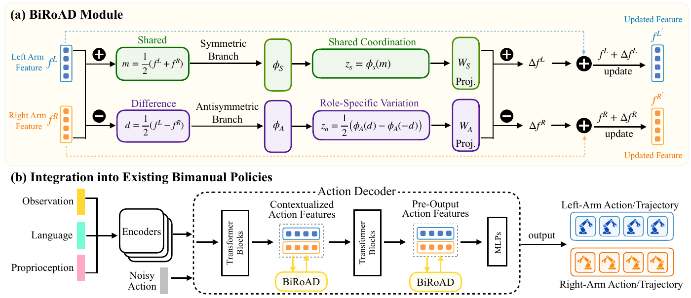 BiRoAD module and policy integration: symmetric and antisymmetric branches refine contextualized and pre-output action features inside an existing action decoder